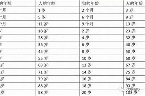 2006年出生|2006年今年多大